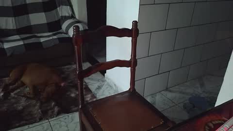 AmigodotadoZL online show from April 25, 2026, 8:06 pm