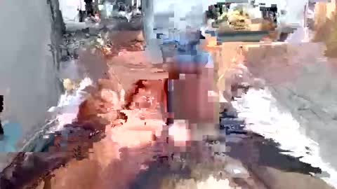 dmann1202 online show from January 12, 2026, 8:03 pm