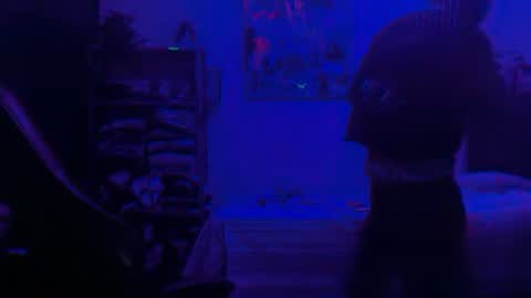Snapshot of dogboi666 chatting on June 25, 2026, 4:34 am Dogboi online show from June 25, 2026, 4:34 am