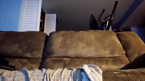 dogbone999081 online show from December 17, 2025, 10:10 am