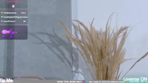 Snapshot of dolly_brownc chatting on February 8, 2026, 10:35 pm dolly_brownc online show from February 8, 2026, 10:35 pm