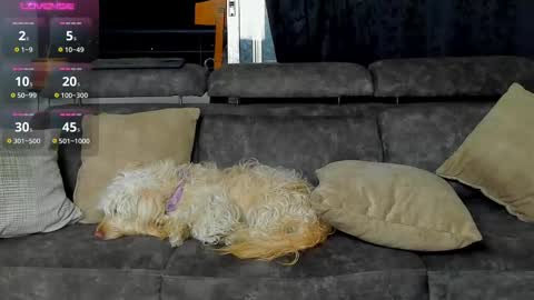 SANTI  independent model online show from February 20, 2025, 3:12 am