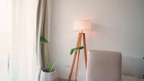 Donatella online show from April 13, 2026, 11:59 am