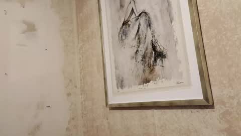 donwyan4 online show from November 20, 2025, 11:10 am