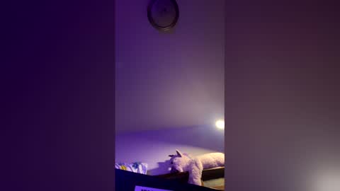 doodlez224472 online show from April 16, 2026, 1:56 pm