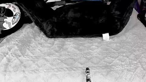 DOOM online show from March 4, 2025, 5:56 pm