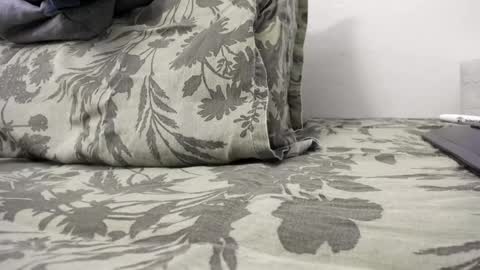 menu  below online show from December 31, 2024, 2:47 pm