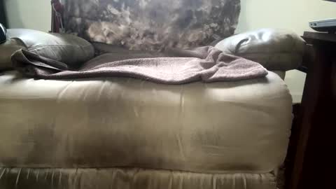 dotcom0062 online show from November 15, 2025, 6:26 pm