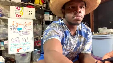 MrPirated online show from February 27, 2025, 4:43 pm