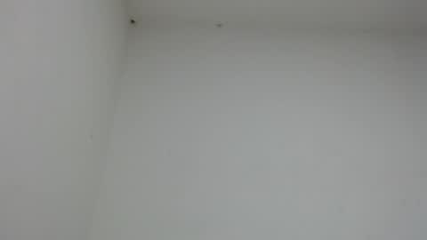 drako_monstercock online show from January 17, 2026, 10:46 pm