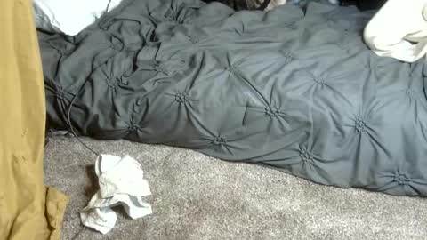 Dreadedted online show from February 13, 2026, 4:58 pm