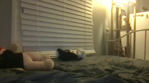 ur dream girl online show from January 12, 2025, 6:49 am