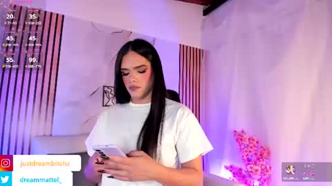 Snapshot of dreammatell_ chatting on June 24, 2026, 4:00 am Dream Matell online show from June 24, 2026, 4:00 am