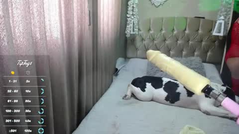 Snapshot of dreams_sophi chatting on July 1, 2026, 7:35 pm Sophia online show from July 1, 2026, 7:35 pm