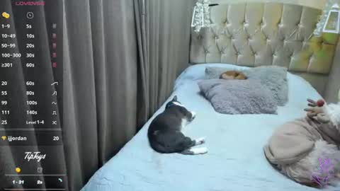 Snapshot of dreams_sophi chatting on July 10, 2026, 11:40 pm Sophia online show from July 10, 2026, 11:40 pm