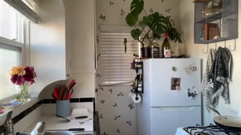 RIRI OR DREAMY online show from December 18, 2024, 7:30 pm