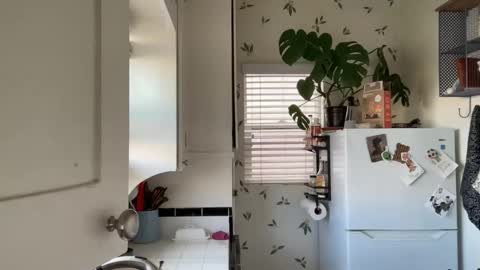 RIRI OR DREAMY online show from February 9, 2025, 5:22 pm