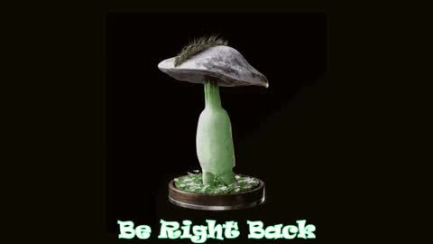 Tara  Sonny online show from October 2, 2025, 12:17 am