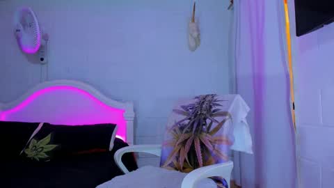 drippyorlove online show from September 17, 2025, 8:21 pm