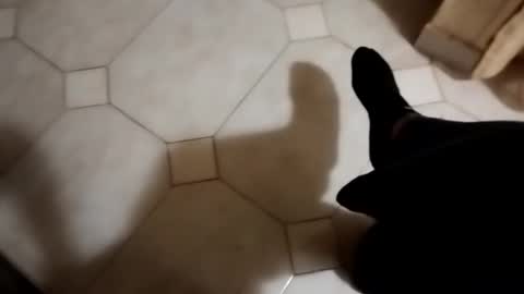 dthedog12 online show from October 22, 2025, 1:50 am