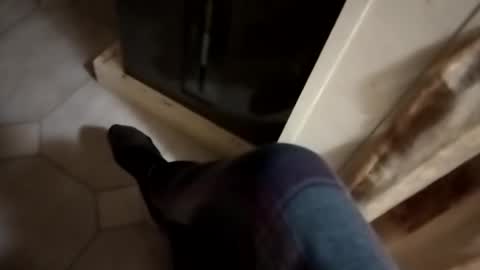 dthedog12 online show from October 24, 2025, 1:03 am