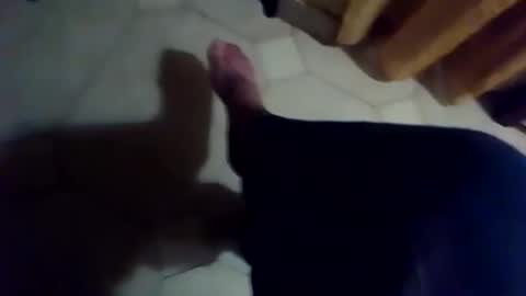 dthedog12 online show from November 25, 2025, 6:41 pm