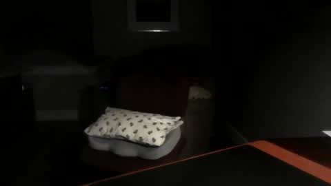 Snapshot of dubl55nikl chatting on December 3, 2024, 7:43 am DublNikl online show from December 3, 2024, 7:43 am