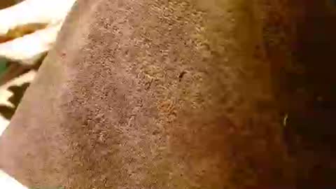 dunany101 online show from January 28, 2025, 12:57 am