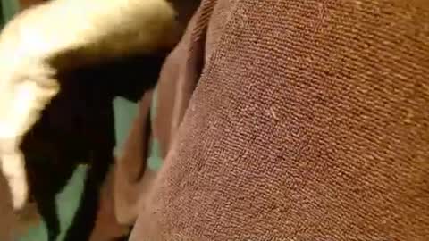 dunany101 online show from March 5, 2025, 12:49 am