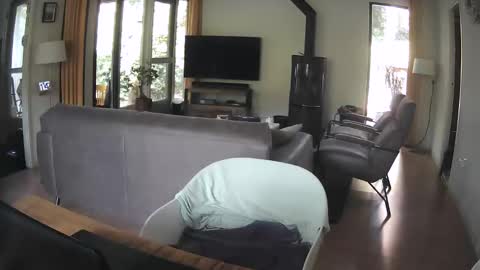 Snapshot of dutchsmooth chatting on September 10, 2025, 9:42 am dutchsmooth online show from September 10, 2025, 9:42 am