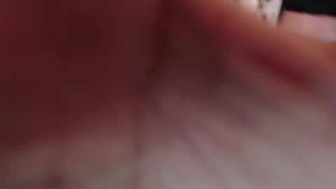 Snapshot of duvan_montes chatting on November 17, 2025, 1:17 pm duvan_montes online show from November 17, 2025, 1:17 pm