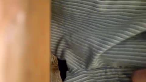 dVe1oPe online show from January 6, 2025, 9:30 am