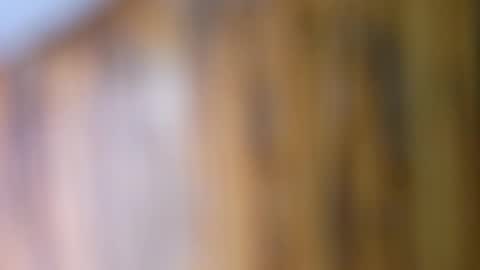 dVe1oPe online show from September 10, 2025, 9:42 am