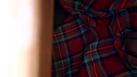 dVe1oPe online show from November 8, 2025, 11:10 am