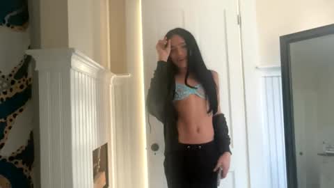 Dynasty online show from November 17, 2025, 3:51 pm