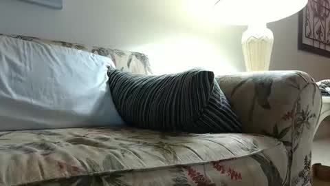 Snapshot of earthcreature chatting on February 5, 2025, 9:15 am Earth Creature online show from February 5, 2025, 9:15 am