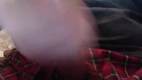 eat_a_peach2 online show from March 4, 2026, 11:38 am