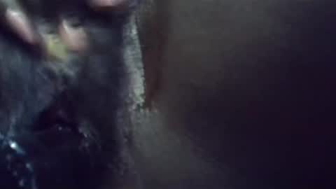 Snapshot of ebonykiki chatting on January 23, 2025, 11:36 pm ebonykiki online show from January 23, 2025, 11:36 pm