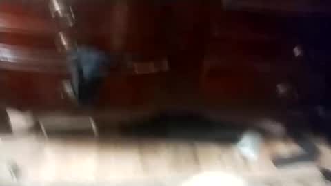 eboy4sale online show from March 1, 2025, 11:50 am