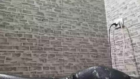 edithmanning online show from March 6, 2025, 3:45 pm