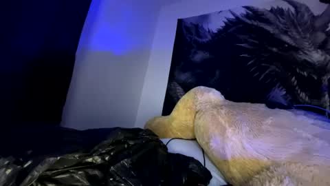 edvmendez1766 online show from September 23, 2025, 10:07 am