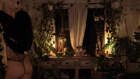 Effy online show from November 11, 2025, 12:10 am