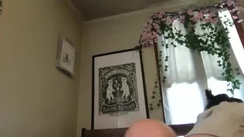 eggnog_and_booty online show from May 12, 2026, 7:44 pm