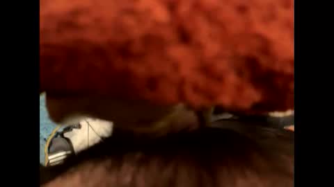 ehdgher online show from November 6, 2025, 9:21 am