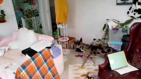 ejrabloom online show from March 16, 2026, 7:29 pm