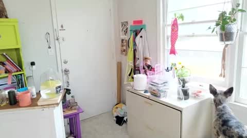 ejrabloom online show from April 1, 2026, 5:10 pm