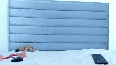 elaisaprincess online show from February 5, 2025, 1:04 am