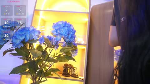 Elasummeer online show from November 25, 2025, 11:54 am