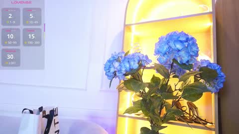 Elasummeer online show from November 28, 2025, 11:57 am