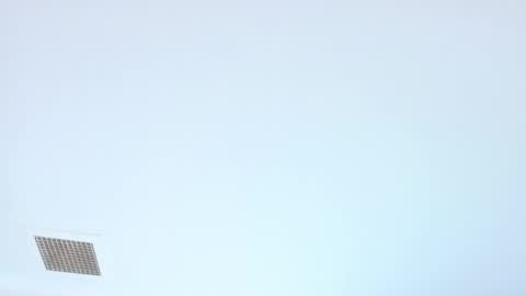 Snapshot of elektradoll1 chatting on June 5, 2026, 12:44 pm elektradoll1 online show from June 5, 2026, 12:44 pm